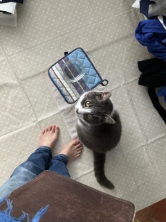 �������o������ȁH