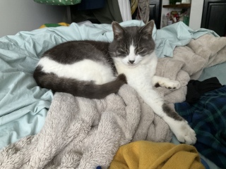 �֎q�ł��˂ށA����A�x�b�h�ł��˂�