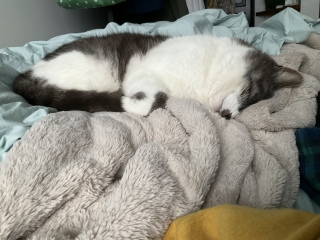 �ق�ق�L�����˂�