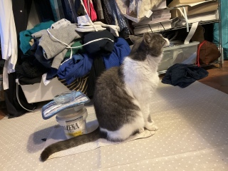 �����т����