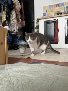 3��11��(��) �J�̒����肪�Ƃ�