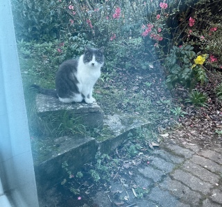 �[���̏o��