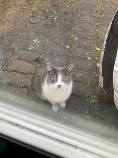 3��13��(��) ��������Ⴂ