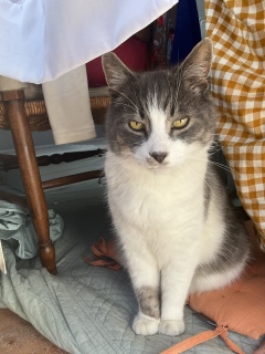 3��14��(�y) ���R�ɏo����