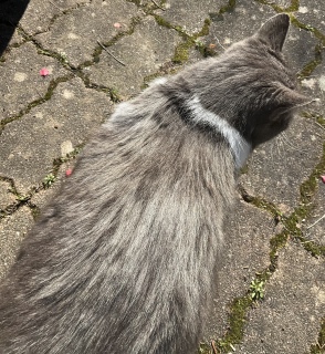 �������ܔL���