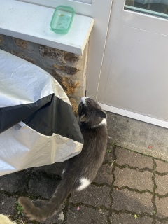 �Ƃ̒��֐�ɓ���܂�