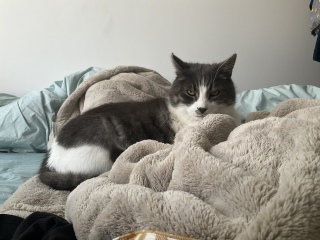 ���Q�����