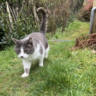 3��16��(��) �������܂ł�