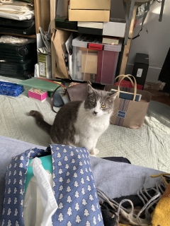 3��17��(��) ��������Ⴂ