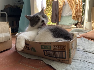 �ЂƎd�����Ă��܂���