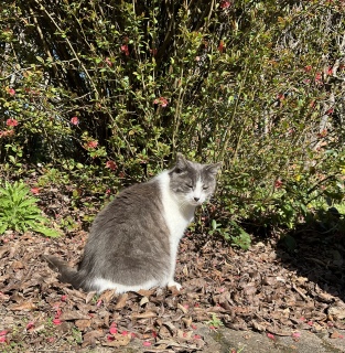 �܂Ԃ�����