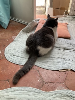 3��19��(��) ����������킢��