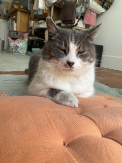 �E�̂��Ă�