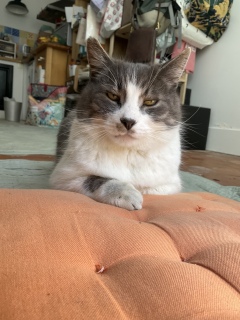 �������H