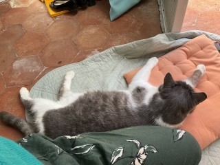 �߂��ɍ���ˁ[��