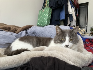 1���Ԉȏ㒋�Q���Ă��ꂽ��