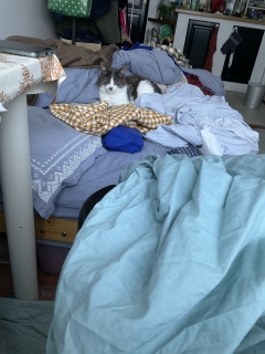 �[�������Ă��ꂽ��