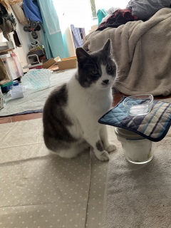 3��20��(��) �����͓��ɐH������V