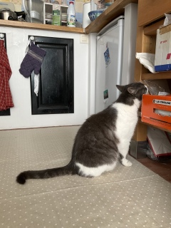 �����Ԃ����C�ɂȂ�