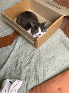 �Ă��Ή��x�b�h�͊O�ɏo������