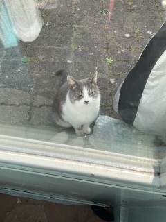 3��21��(�y) ���͂悤�L���