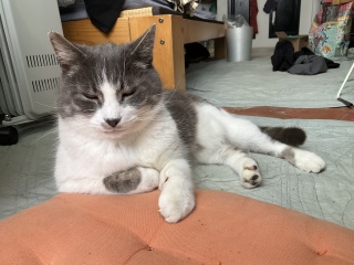 �ЂƎd�����Ă��܂���