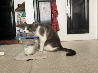 3��22��(��) �����炢������Ⴂ