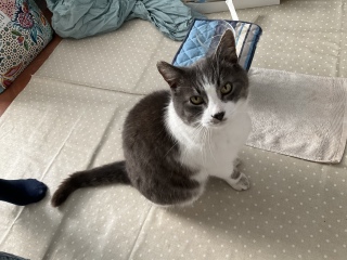 �A�C���C����������