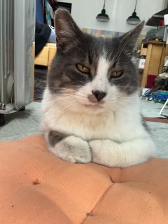 �ˁ[���̋A��킩��܂�