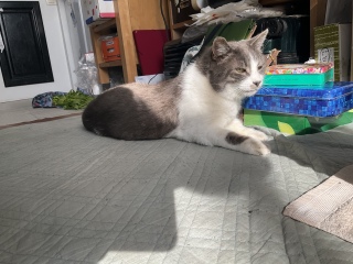 �ʂ����Ƃ����킩���