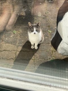 3��23��(��) ���C�ɑ吺�ł�������