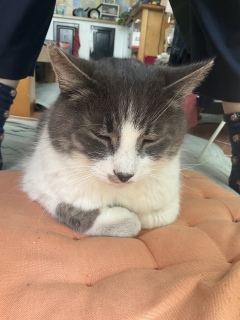 �B����̂�[��