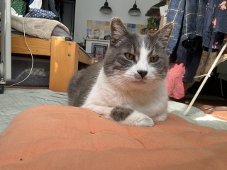 3��24��(��) �˂��x�V�x�V