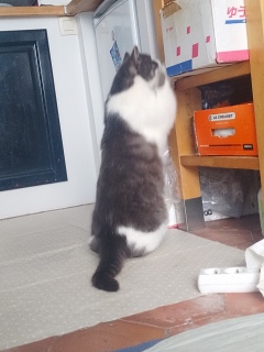 �����Ԃ��@��