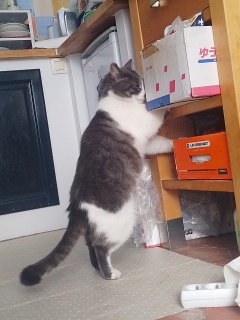 �����Ԃ��@�O