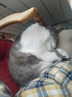 �ˁ[�����֎q�g���Ă�����