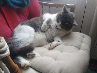 �������ł�