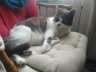 ������ꂵ�Ă�������