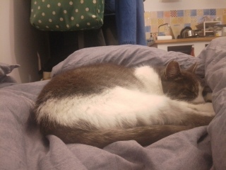 ���ɂ���܂��ꂽ