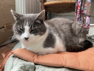 3��25��(��) ���J�̒����肪�Ƃ�