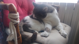 �ˁ[���͏o�΂ł�