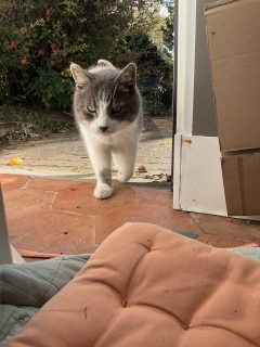 3��26��(��) �L���̏o�Ύ��Ԃ��ˁ[���̏o�Ύ���