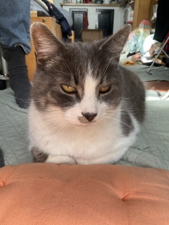 �I�X�Ƃ����났