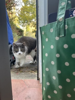 �A����킩��܂�