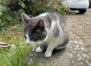 3��27��(��) ����H�ޔL���