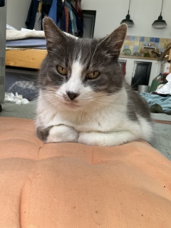 �{����24���Ԋ��}