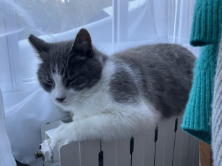 �[���̂����났