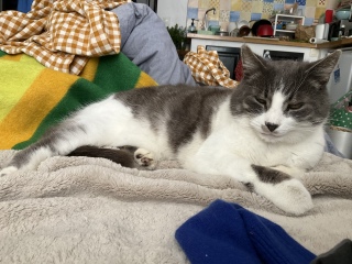 3��29��(��) ��������Ď��Ԃł�