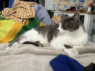 ���̑ԓx�C�ɓ������I