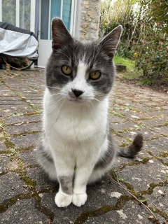 �Ȃ񂿂イ���킢��